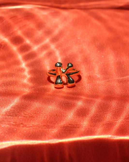 Anillo de letras