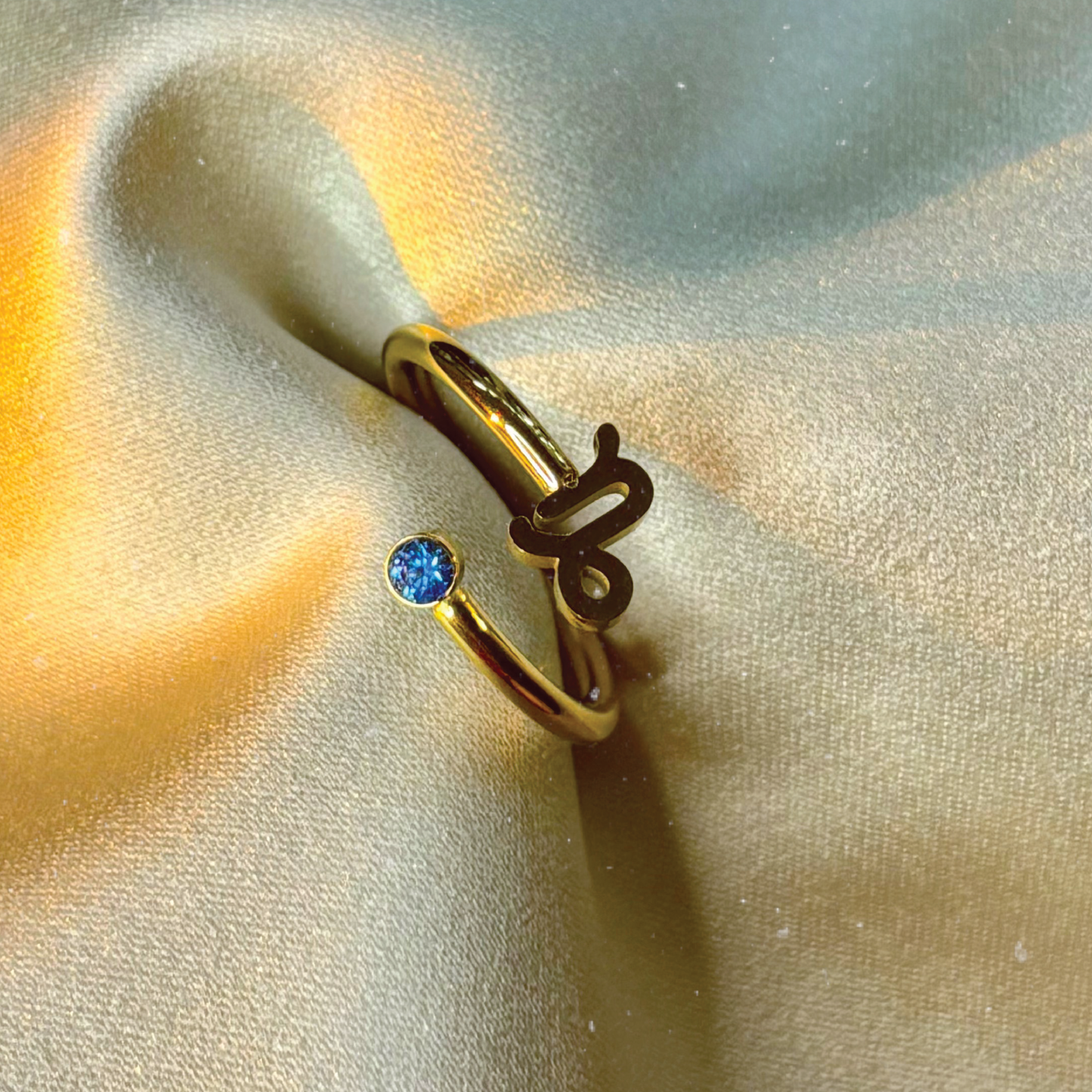 Anillo Capricornio