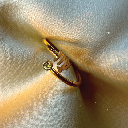 Anillo Virgo